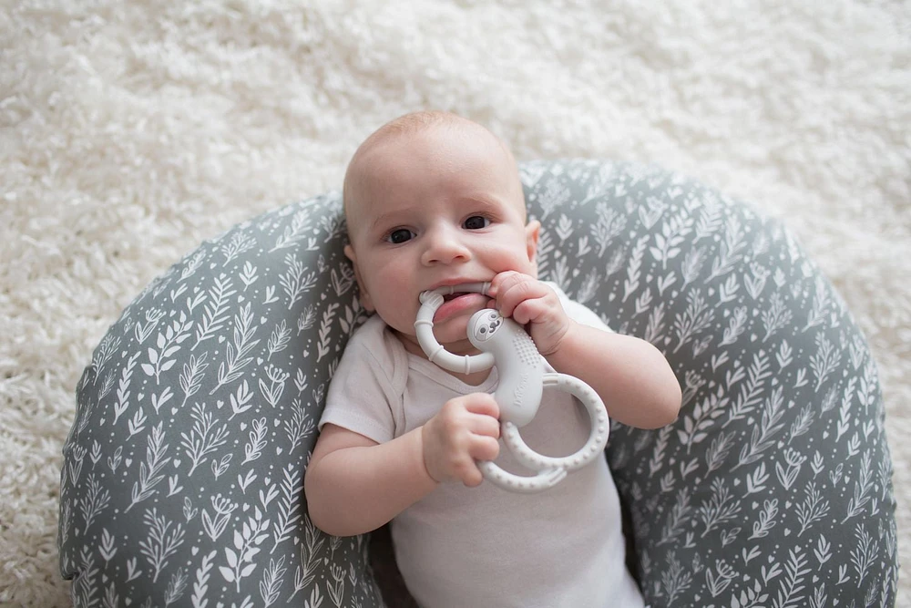 Dr. Brown’s™ Flexees™ Sloth Teether Grey