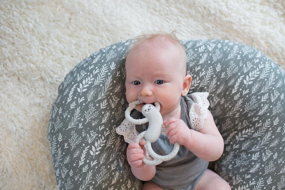 Dr. Brown’s™ Flexees™ Sloth Teether Grey