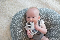 Dr. Brown’s™ Flexees™ Sloth Teether Grey