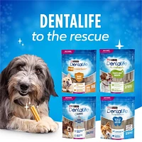 DentaLife Chews Gâteries Pour Petits Chiens Pour les Soins Buccodentaires Quotidiens 248-595g