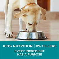 Purina ONE SmartBlend Large Breed Formula Chicken, Dry Dog Food, 7-17.5 kg