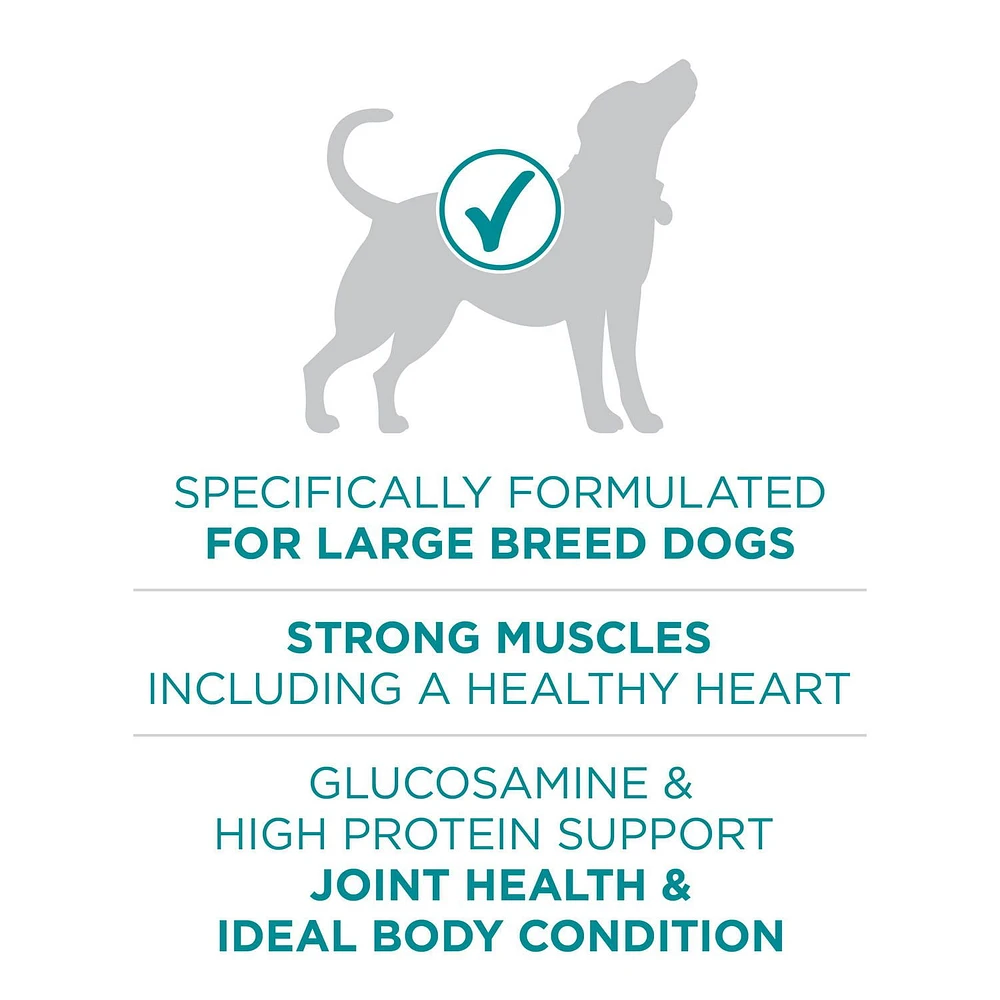 Purina ONE SmartBlend Large Breed Formula Chicken, Dry Dog Food, 7-17.5 kg