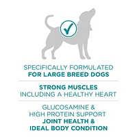 Purina ONE SmartBlend Large Breed Formula Chicken, Dry Dog Food, 7-17.5 kg
