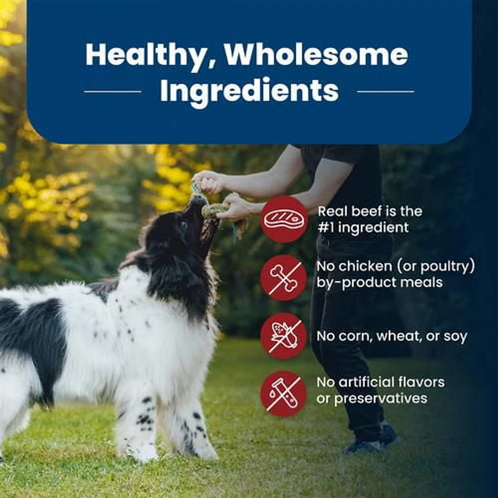 Blue Buffalo Life Protection Formula Nourriture sèche naturelle pour chiens adultes 9.9kg