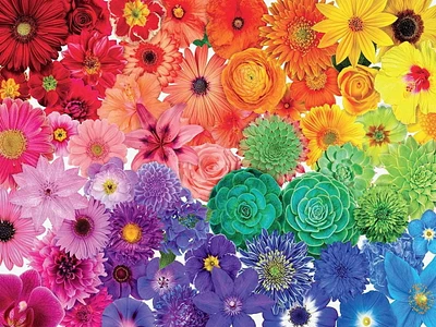 Ceaco Colorstory 750-Piece Puzzle Flower Power