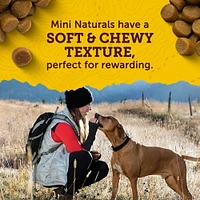 Zuke’s Mini Naturals Recette au Beurre d’Arachide et à l’Avoine, Gâteries pour Chiens 170-454 g
