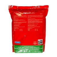 Vibrant Life Nyjer Seed & Sunflower Chip Blend Wild Bird Food 3.8 KG, Nyjer Sunflower Seed Blend