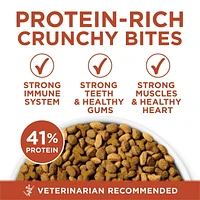 Purina ONE +Plus High Protein Chicken Formula, Dry Cat Food 1.8 kg