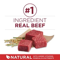 Purina ONE Microbiome Balance Beef & Rice Formula, Dry Dog Food, 1.72-12.4 kg
