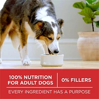 Purina ONE Microbiome Balance Beef & Rice Formula, Dry Dog Food, 1.72-12.4 kg