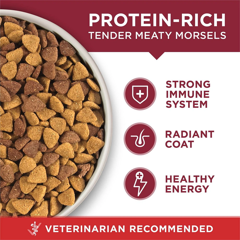 Purina ONE Microbiome Balance Beef & Rice Formula, Dry Dog Food, 1.72-12.4 kg