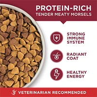 Purina ONE Microbiome Balance Beef & Rice Formula, Dry Dog Food, 1.72-12.4 kg