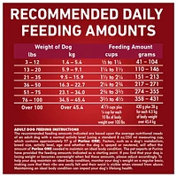 Purina ONE Microbiome Balance Beef & Rice Formula, Dry Dog Food, 1.72-12.4 kg