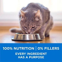 Purina ONE +Plus High Protein Salmon & Ocean Whitefish Formula, Dry Cat Food, 1.8-3 kg