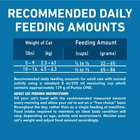Purina ONE +Plus High Protein Salmon & Ocean Whitefish Formula, Dry Cat Food, 1.8-3 kg