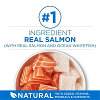 Purina ONE +Plus High Protein Salmon & Ocean Whitefish Formula, Dry Cat Food, 1.8-3 kg