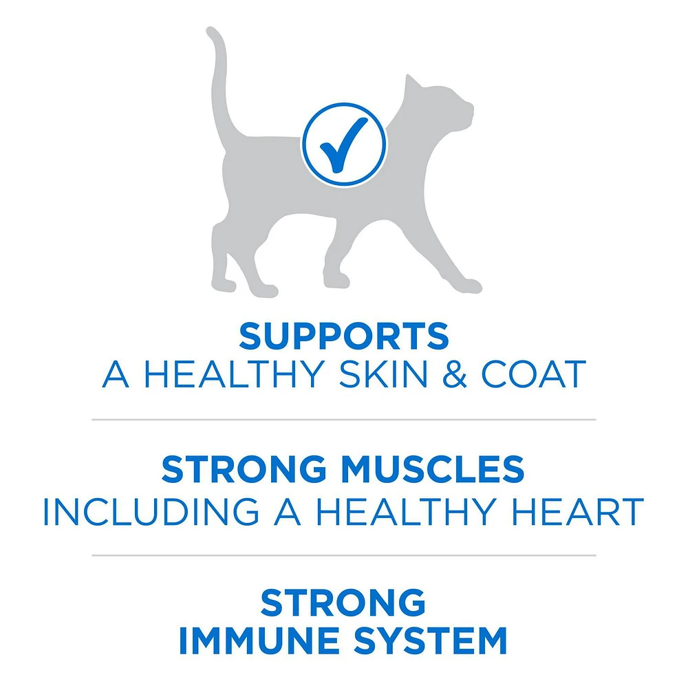 Purina ONE +Plus High Protein Salmon & Ocean Whitefish Formula, Dry Cat Food, 1.8-3 kg