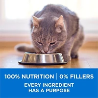 Purina ONE +Plus High Protein Salmon & Ocean Whitefish Formula, Dry Cat Food, 1.8-3 kg
