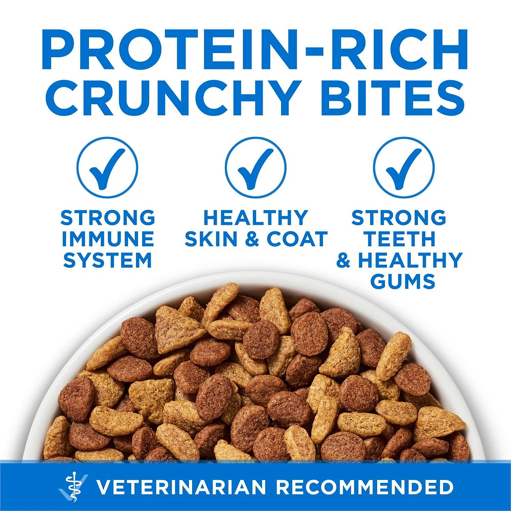 Purina ONE +Plus High Protein Salmon & Ocean Whitefish Formula, Dry Cat Food, 1.8-3 kg