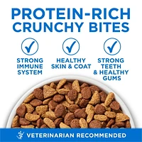 Purina ONE +Plus High Protein Salmon & Ocean Whitefish Formula, Dry Cat Food, 1.8-3 kg