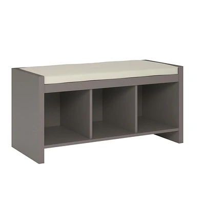 Penelope Entryway Storage Bench with Cushion, Taupe