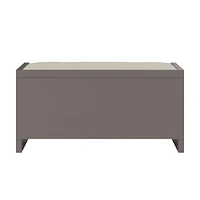 Penelope Entryway Storage Bench with Cushion, Taupe