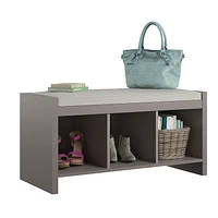 Penelope Entryway Storage Bench with Cushion, Taupe