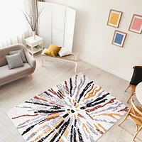 ECARPET Modern Indoor Area Rug, Super Soft & Plush Sunburst Collection