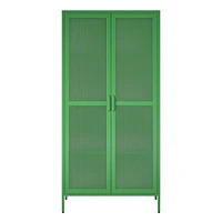 Channing Tall 2 Door Storage Cabinet-Mesh Metal Locker, Kelly Green