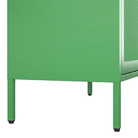 Channing Tall 2 Door Storage Cabinet-Mesh Metal Locker, Kelly Green