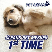 Resolve, Urine Destroyer, 946ml, Clean & Neutralizes Odours on Carpet, Fabric & Hardwood, 946 mL