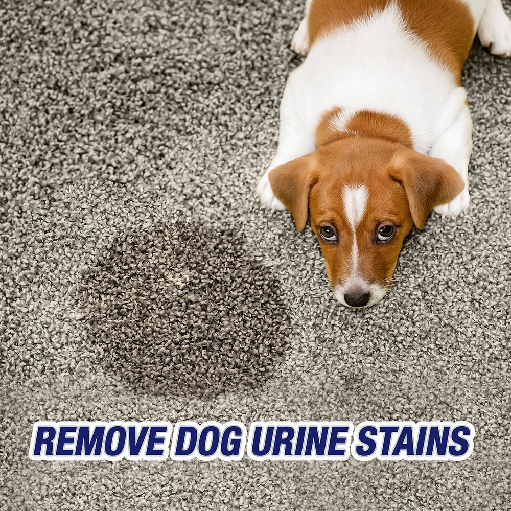 Resolve, Urine Destroyer, 946ml, Clean & Neutralizes Odours on Carpet, Fabric & Hardwood, 946 mL