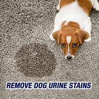Resolve, Urine Destroyer, 946ml, Clean & Neutralizes Odours on Carpet, Fabric & Hardwood, 946 mL