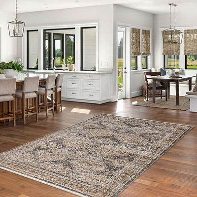 ECARPET Traditional Vintage Distressed Look Rhapsody Collection