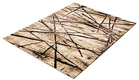 Ecarpet Contemporary Indoor Area Rug for Living Room Bedroom Ceyla Collection