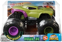 Hot Wheels Monster Trucks 1:24 Scale Hulk