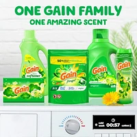 Gain flings Laundry Detergent Soap Pacs, HE Compatible, Long Lasting Scent, Original Scent, 31CT