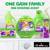 Gain flings Laundry Detergent Soap Pacs, HE Compatible, Long Lasting Scent, Moonlight Breeze, 76CT