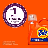 Tide Liquid Laundry Detergent, Original Scent, 3.9L