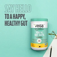 Vega Hello Wellness You’ve Got Guts Protein Powder Choco Cinnamon Banana