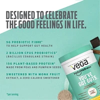 Vega Hello Wellness You’ve Got Guts Protein Powder Choco Cinnamon Banana