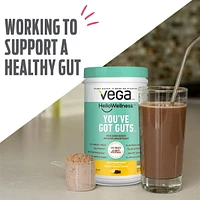 Vega Hello Wellness You’ve Got Guts Protein Powder Choco Cinnamon Banana