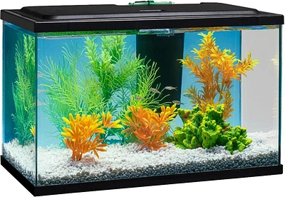 Kit d'aquarium à DEL Tetra, avec hotte à éclairage DEL, filtre et conditionneur 5 gallons