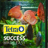 Tetra LED Starter Kit 5.5G, Tetra LED Starter Kit 5.5 Gallon