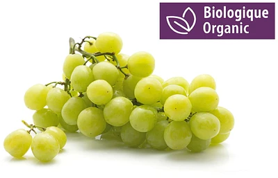 Organic Green Seedless Grapes, 1 lb