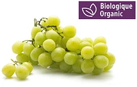 Organic Green Seedless Grapes, 1 lb