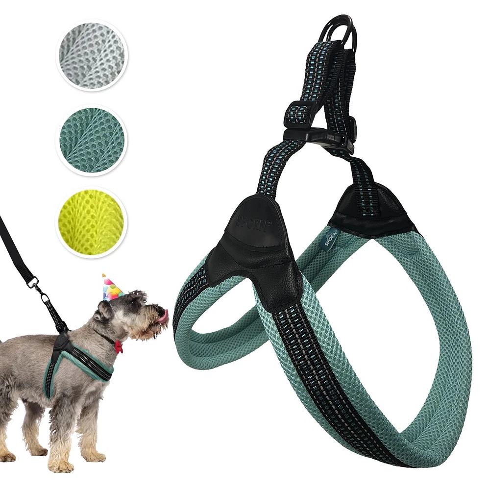 Sporn Easy-Fit Mesh Dog Harness, Breathable & Easy Dog Walking Harness, Multi, Medium