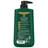 Irish Spring 5-in-1 Body Wash for Men, 887 mL Pump, Irish Spring 5-in-1 887 mL Pump