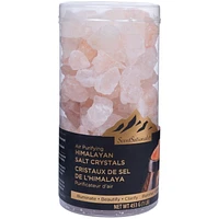 ScentSationals Himalayan Salt Rocks