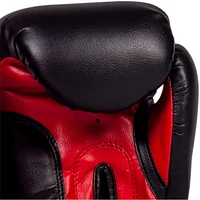 IBF Training Series Boxing Gloves - 12 oz. - Red & Black